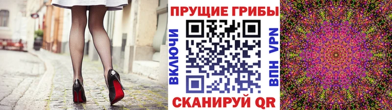купить закладку  Кропоткин  Псилоцибиновые грибы Psilocybine cubensis 